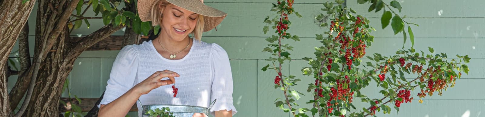 Johannisbeeren – einzigartige Fruchtnoten aus dem Garten