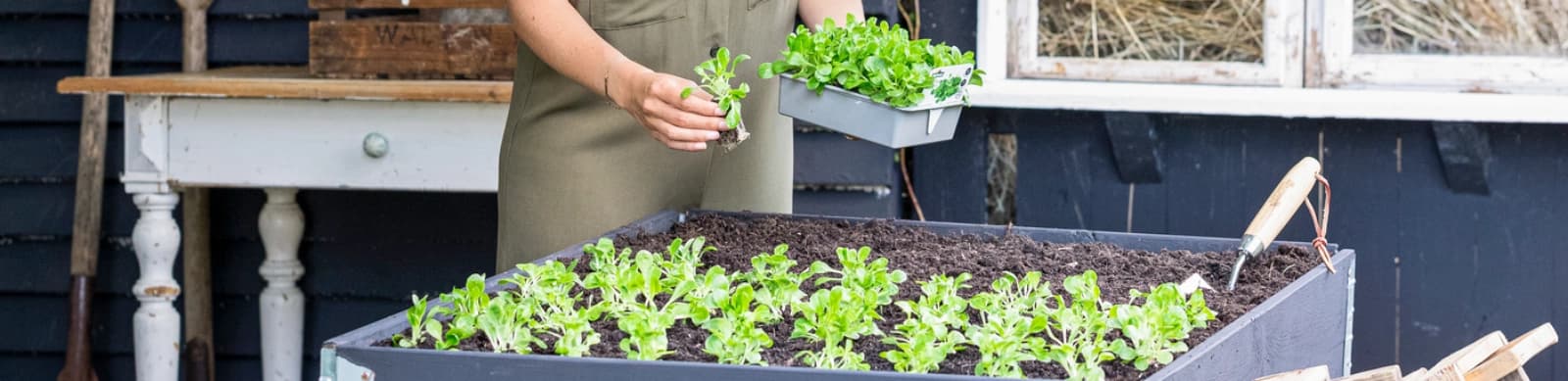 Das Hochbeet – Gestaltungselement mit hohem Nutzen