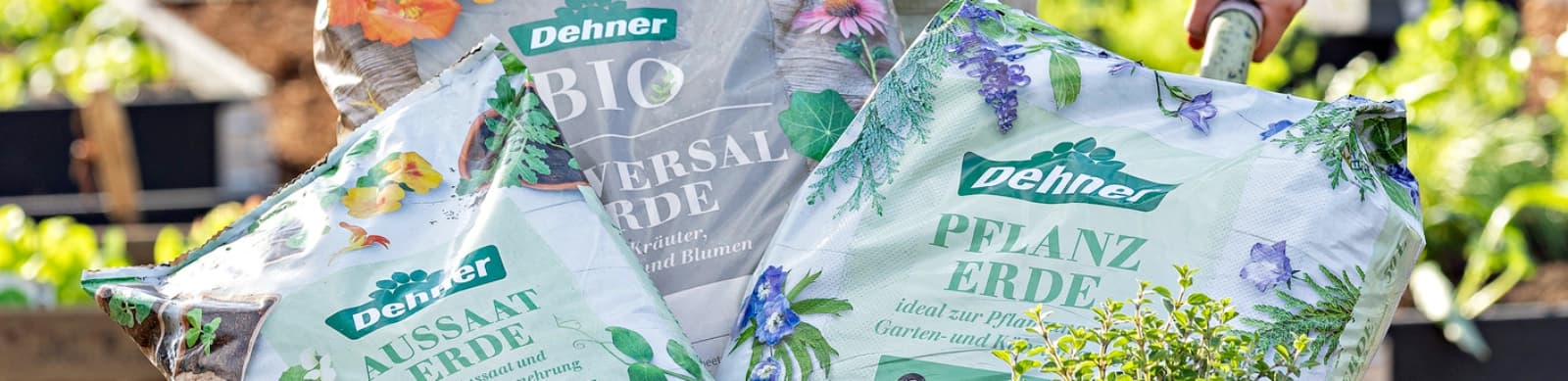 Top 5 Unterschiede: Normale, torffreie und torfreduzierte Erden