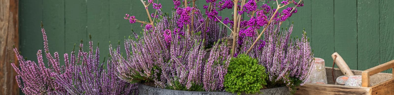 Gartenarbeiten im Oktober