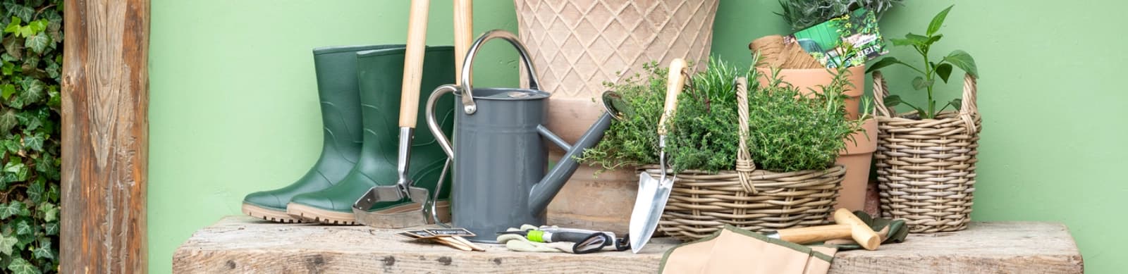 Aromatische Kräuter aus dem eigenen Garten