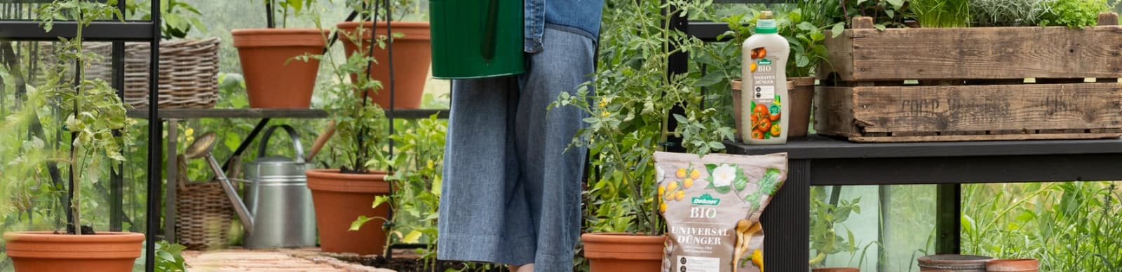 Pflanzenkrankheiten erkennen, vorbeugen und behandeln