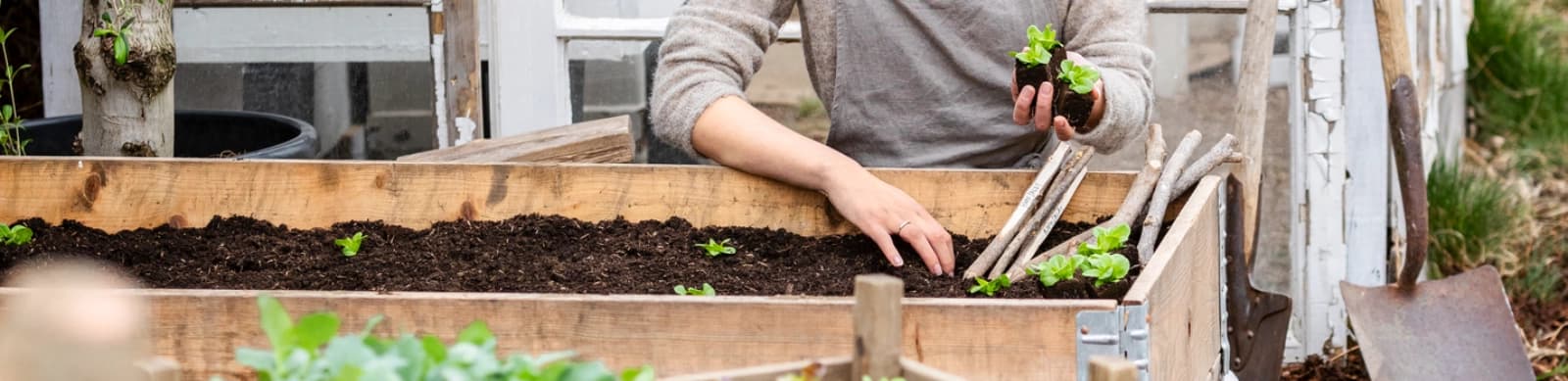 Permakultur – im eigenen Garten und auf dem Balkon