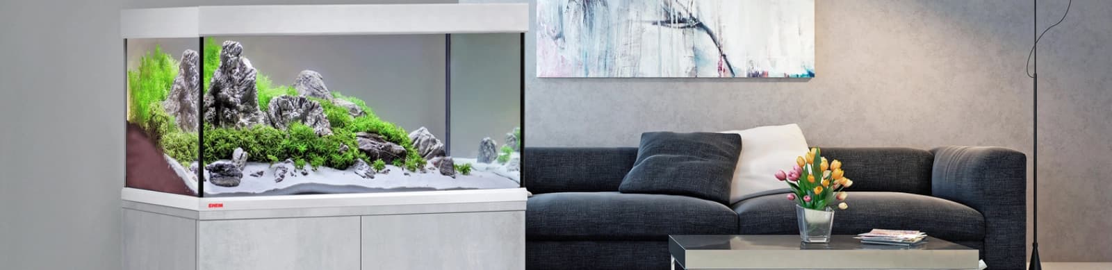 Aquarium einrichten leicht gemacht