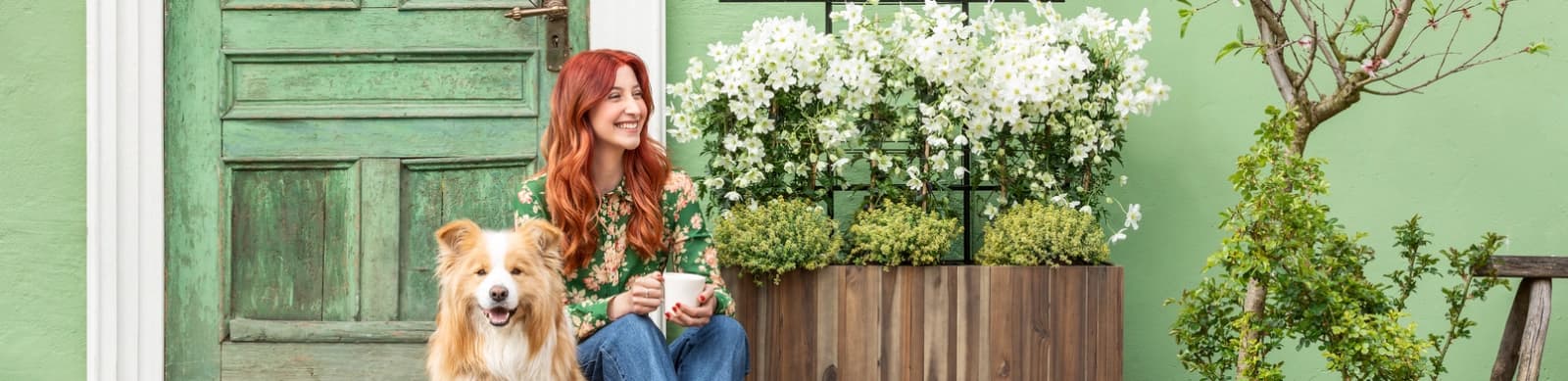 Vorgarten im Halbschatten – pflegeleicht & charmant