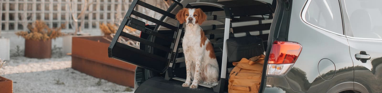 Thule Allax Hundetransportboxen