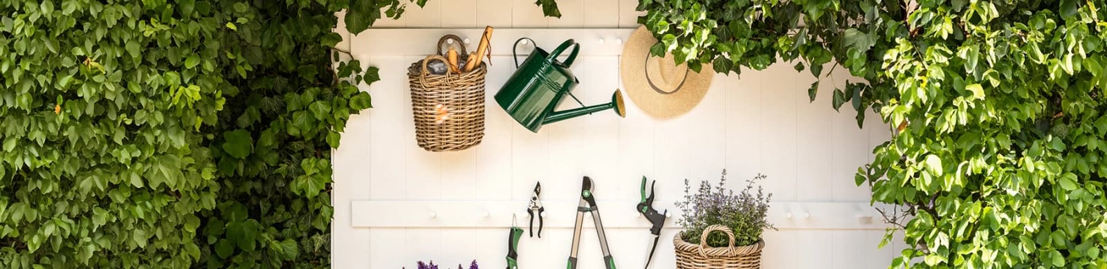 Gartenarbeiten im August
