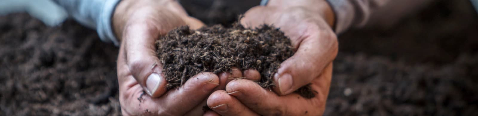 Bodenverbesserung im Hausgarten