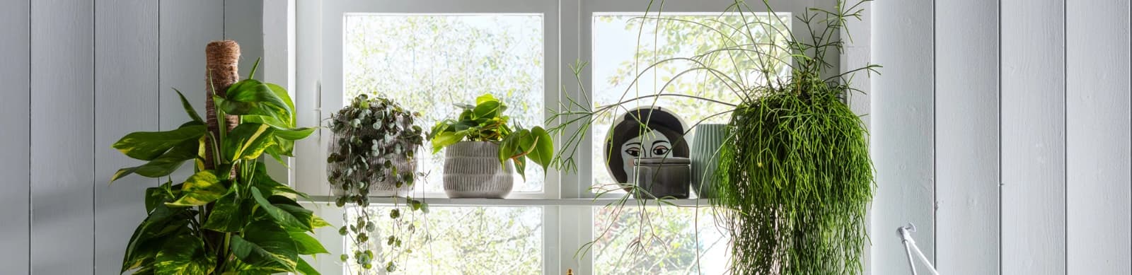 Luftfeuchtigkeit natürlich erhöhen – für ein gesundes Raumklima