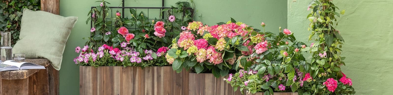 Garten & Pflanzen Tipps