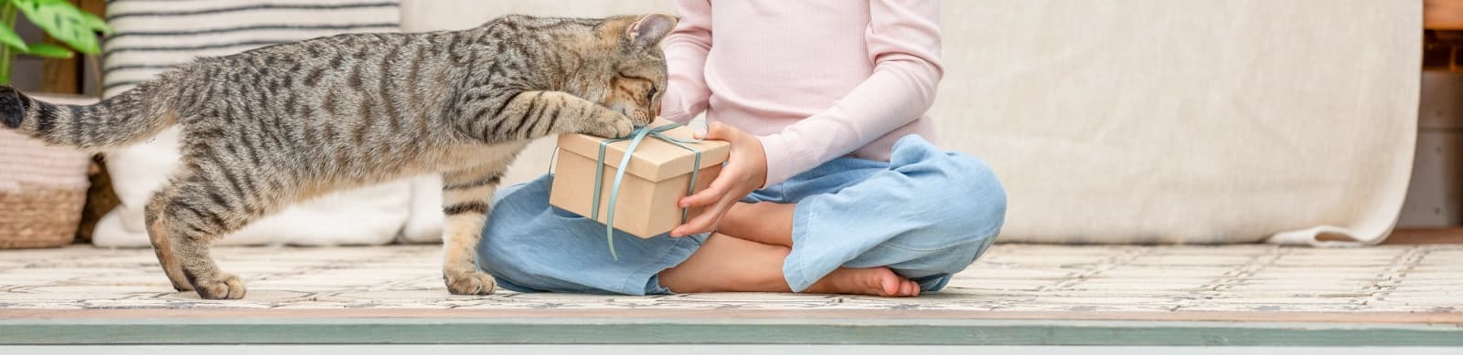 Katzengeburtstag – Feierlaune für kleine Tiger