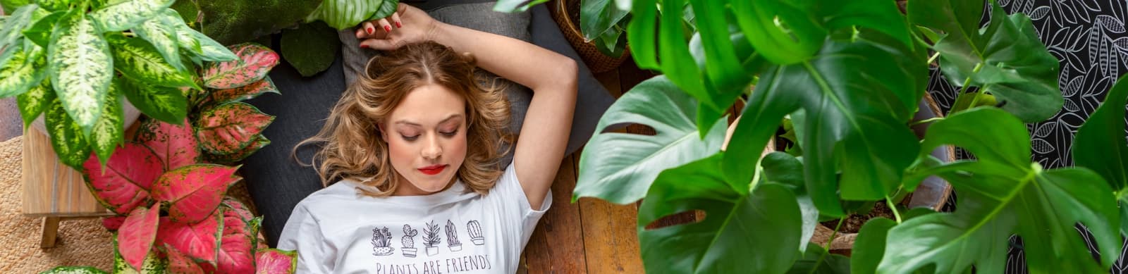 Große Zimmerpflanzen für Ihr Zuhause