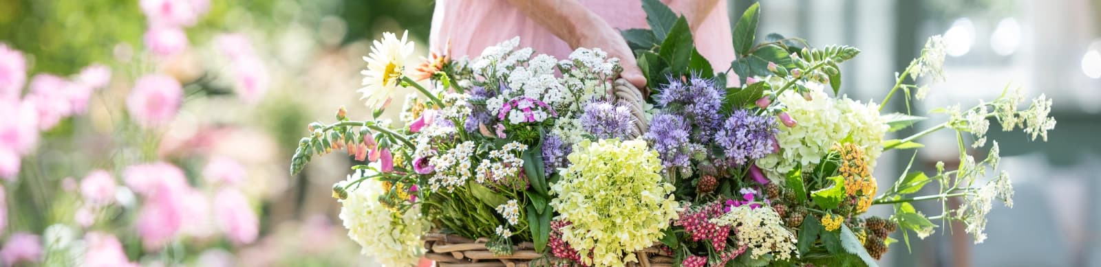 Gartenarbeiten im August