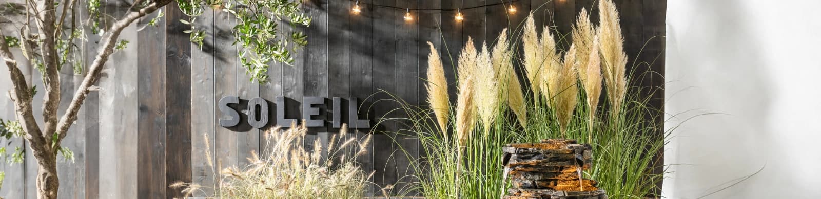 Pampasgras – filigrane Wedel, die begeistern