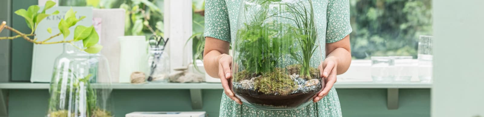 Bepflanzte Gläser – so verwandeln Sie Glasgefäße grüne Wunder