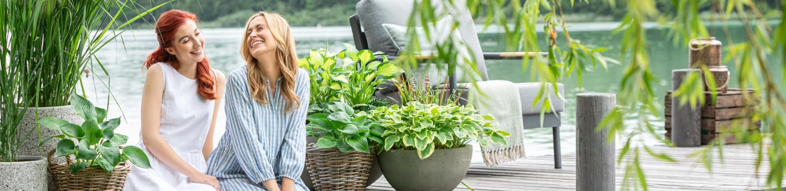 Funkien pflanzen, pflegen und kombinieren