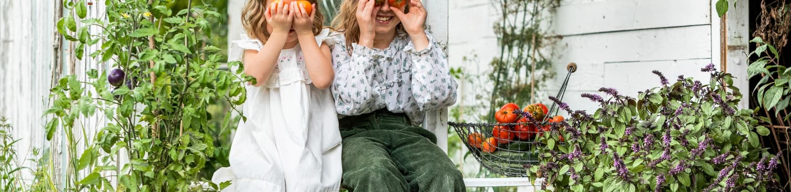 Leckere Tomaten dank super Standort, Pflege & Co.