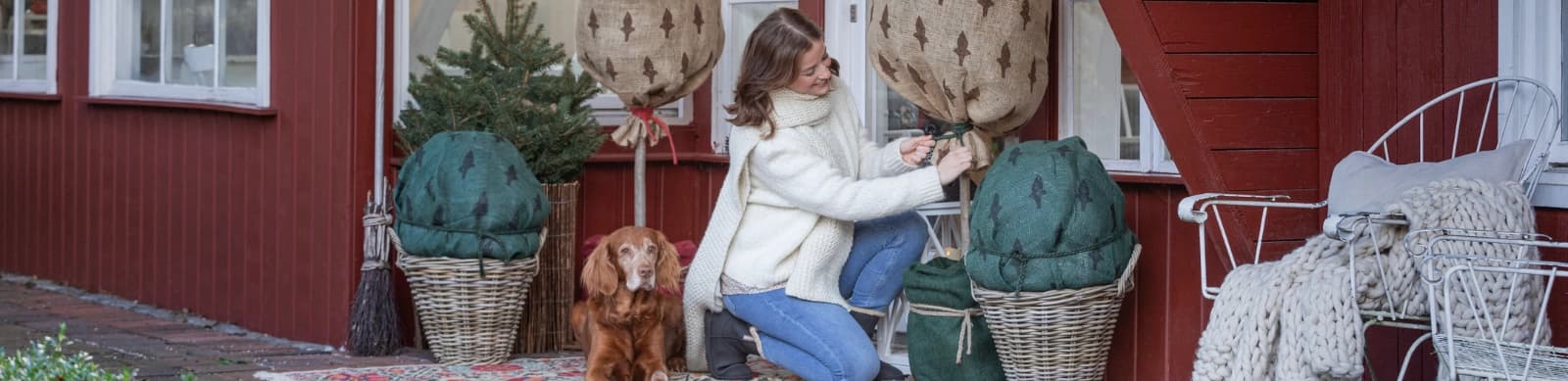 Kübelpflanzen überwintern: Tipps für Frostschutz und Winterpflege