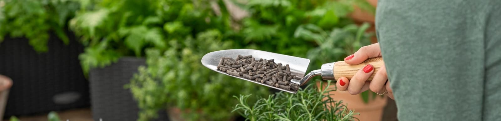 Pflanzen düngen: Der richtige Nährstoff-Mix