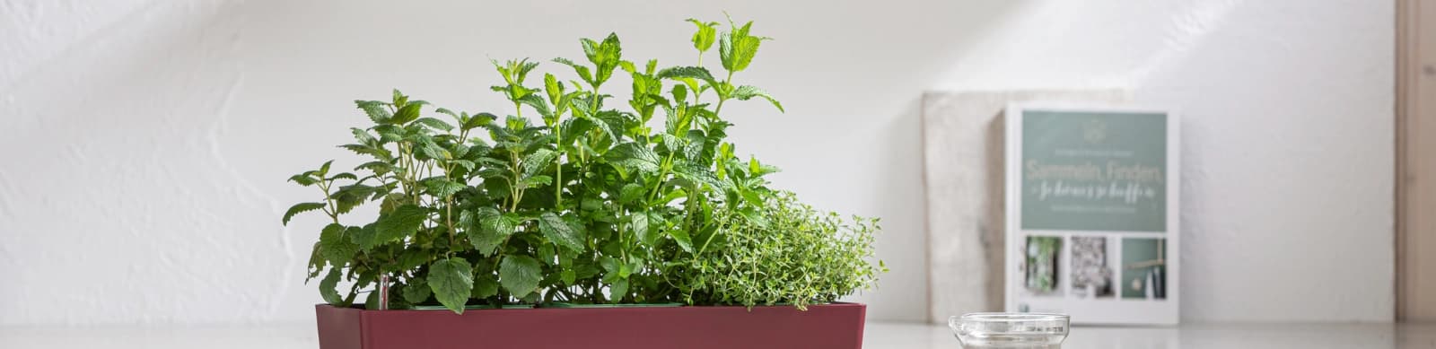 GREENBAR®– Das modulare Pflanzsystem für zuhause.