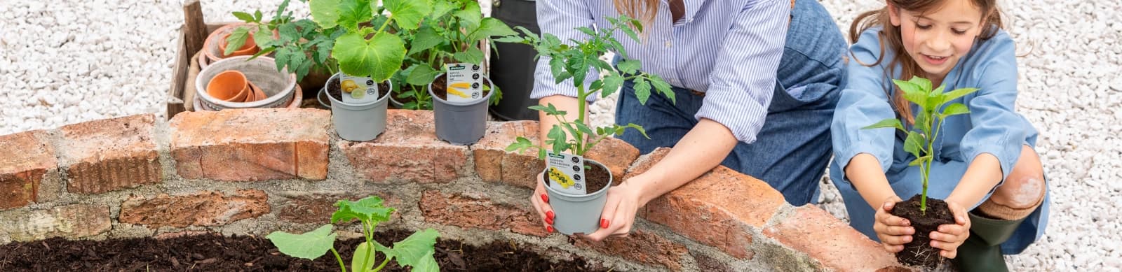 Selbstversorger aufgepasst – reiche Ernte durch Fruchtfolge