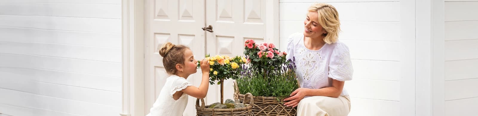Rosen: Die Königinnen unter den Blumen