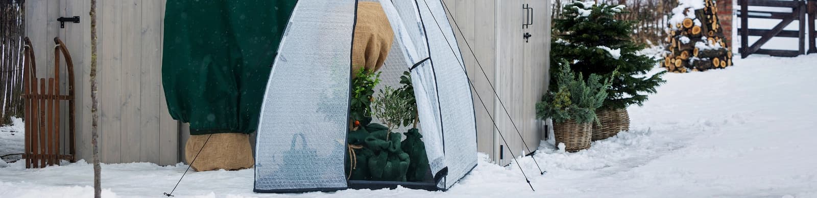 Kübelpflanzen überwintern: Tipps für Frostschutz und Winterpflege