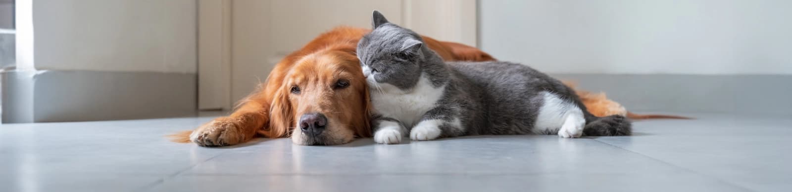 Dehner Heimtierkodex