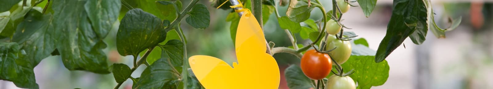 Pflanzenschutz von A bis Z