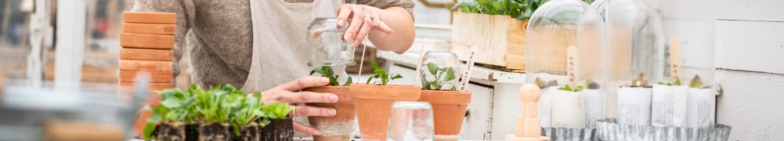 Alle mitmachen beim Eigenanbau