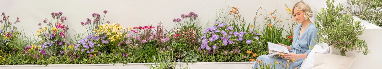 Unsere Sonnenanbeter