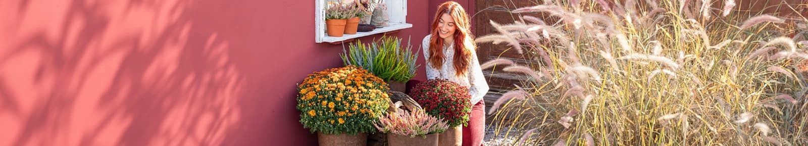 Leuchtende Pflanzenfreude