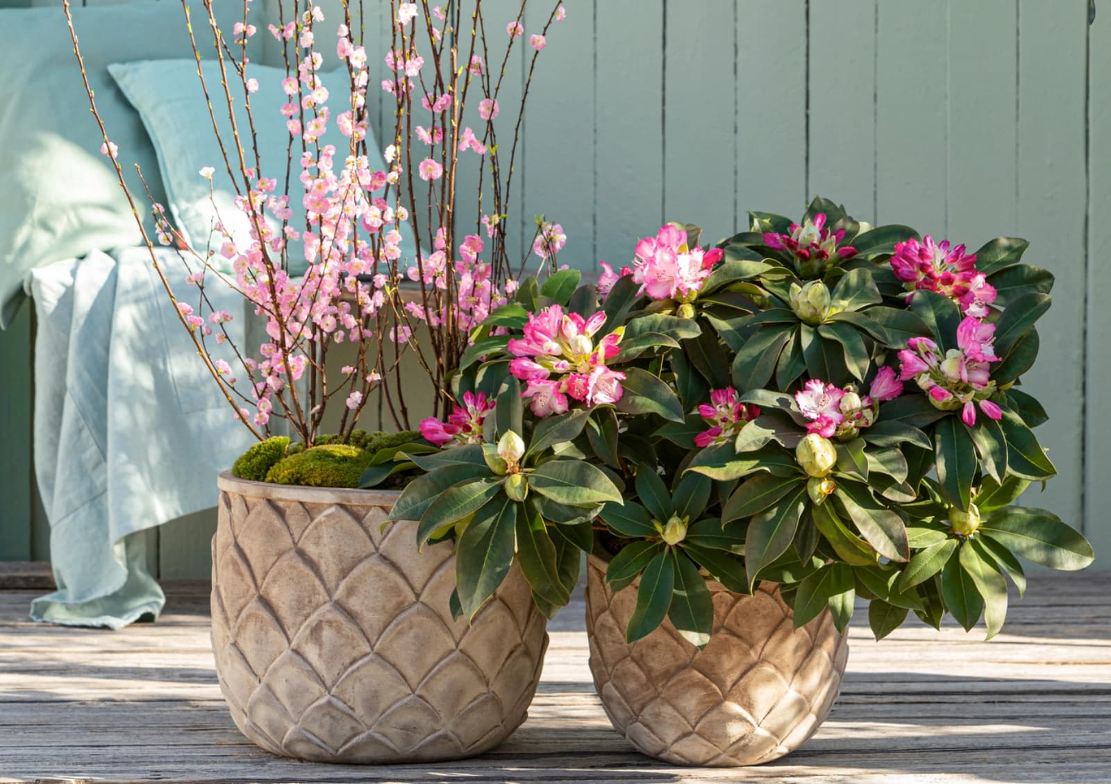 Blühende Sträucher