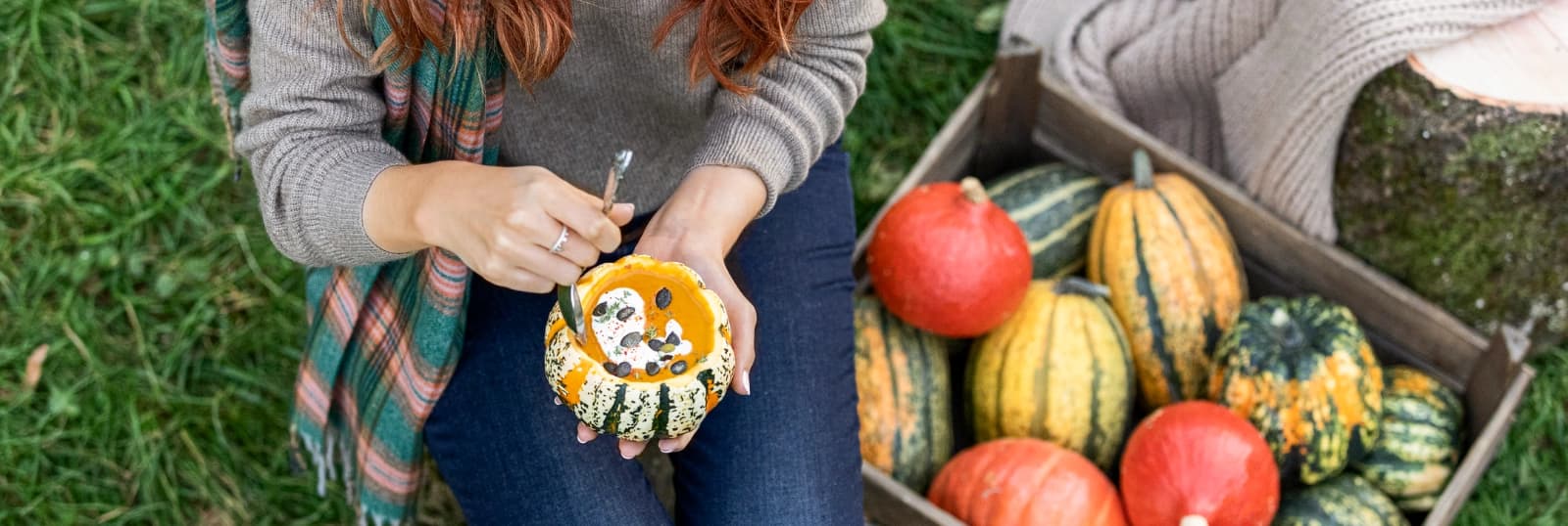 Speisekürbisse