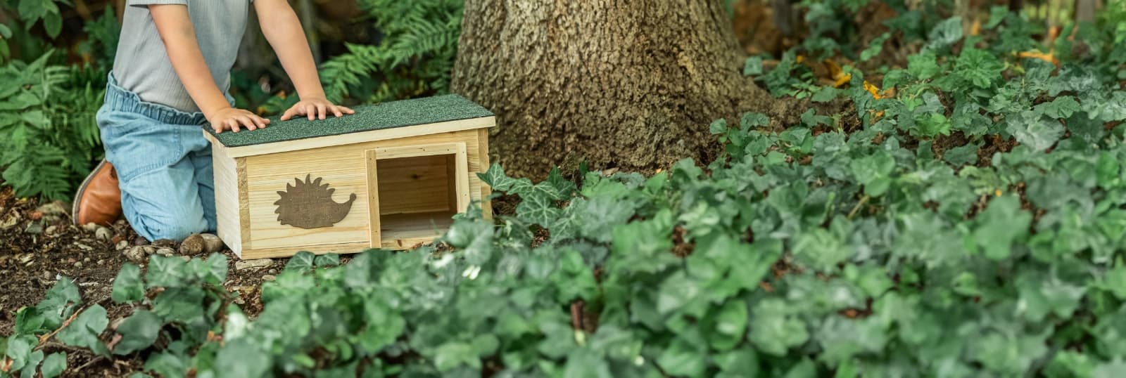 Igelfreundlicher Garten