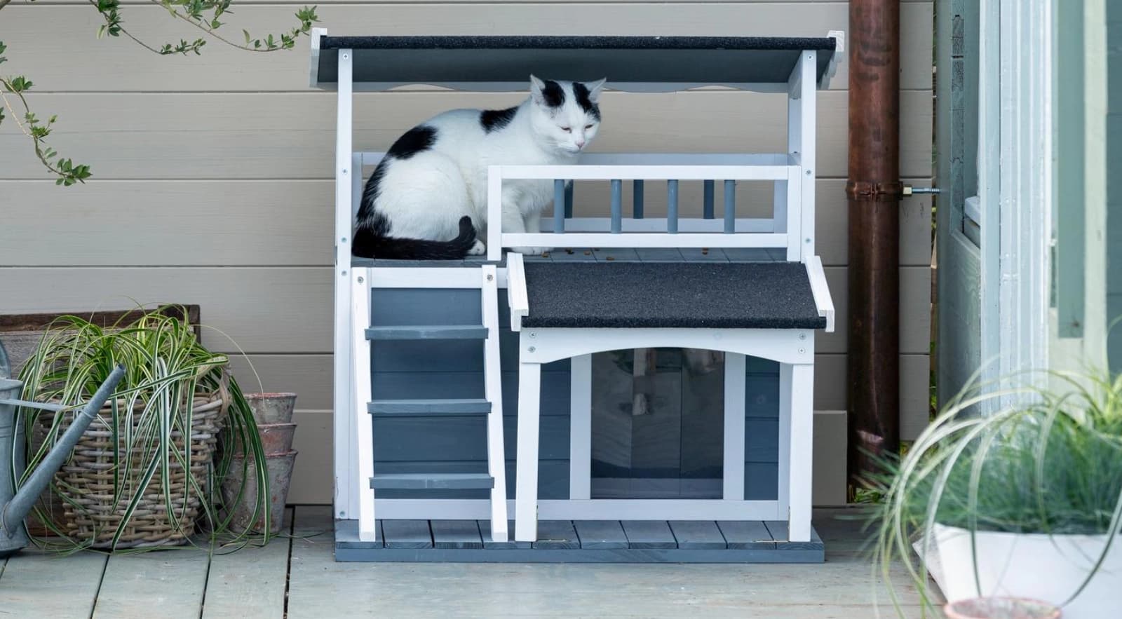 Balkon katzen­sicher gestalten