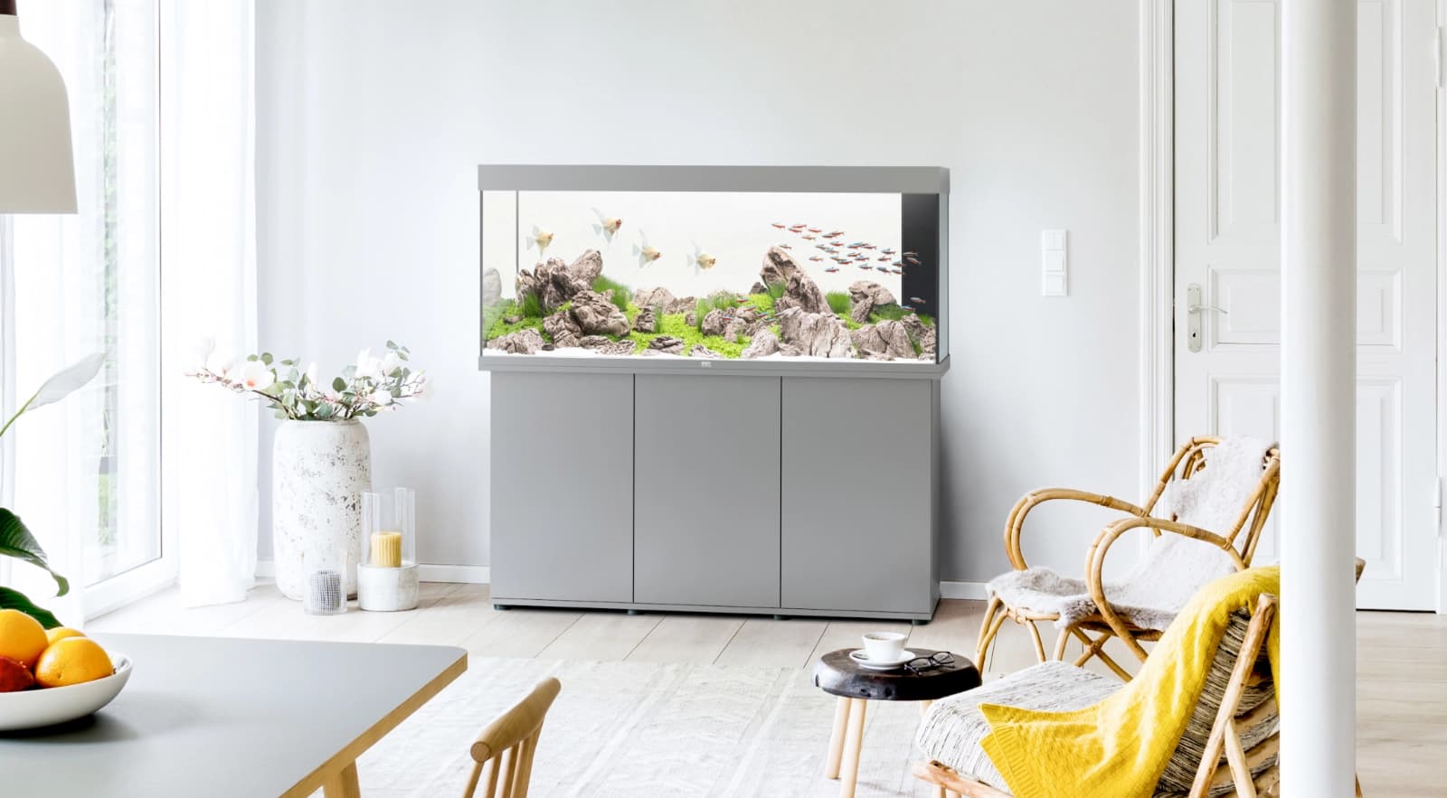 Pflanzen, Fische & Deko