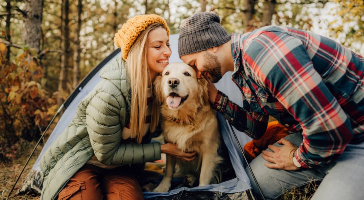 Camping mit Hund
