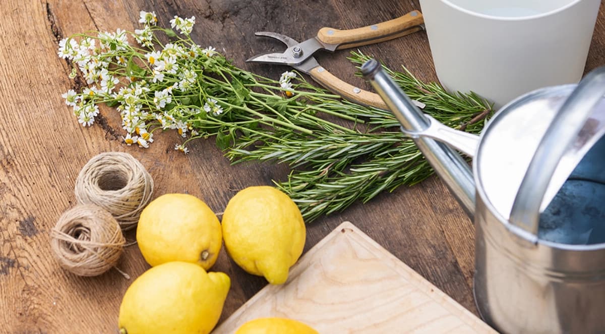 Sommerliche Bastelideen