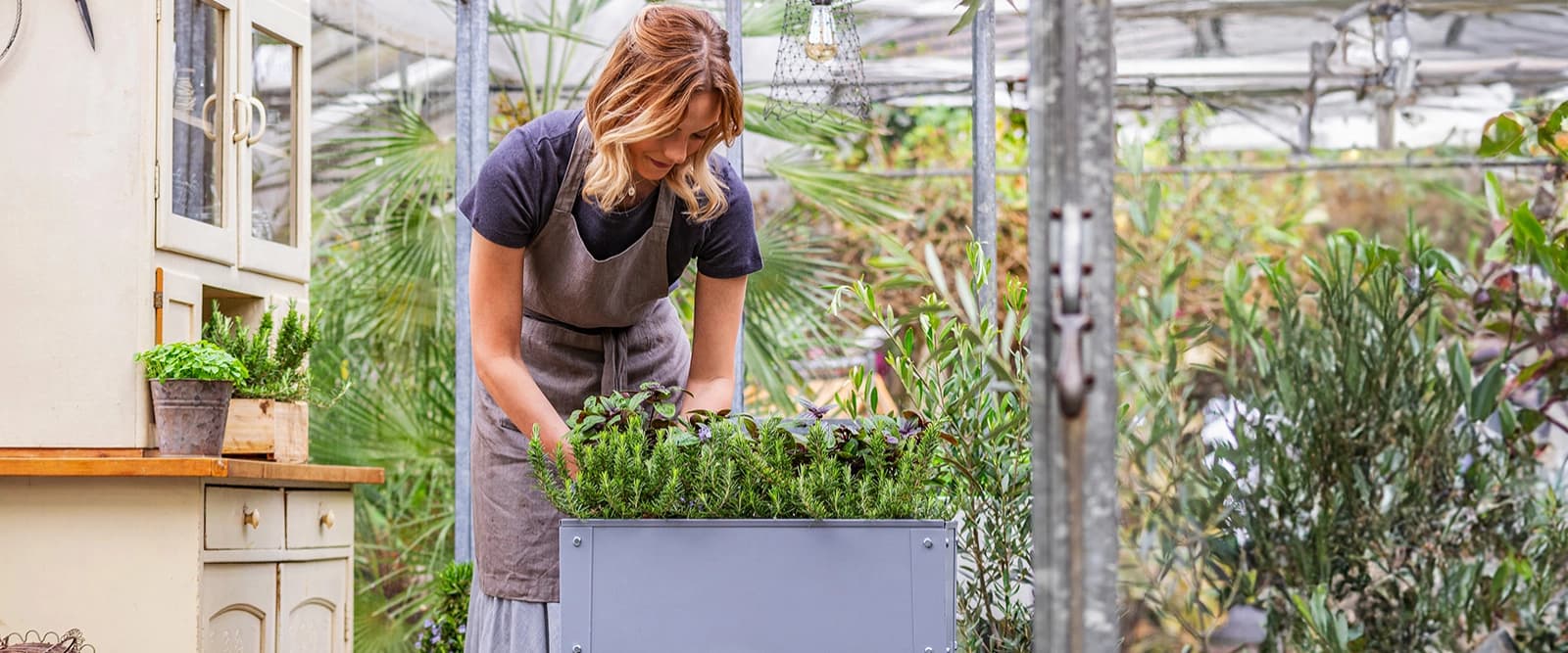 Alles für den Eigenanbau