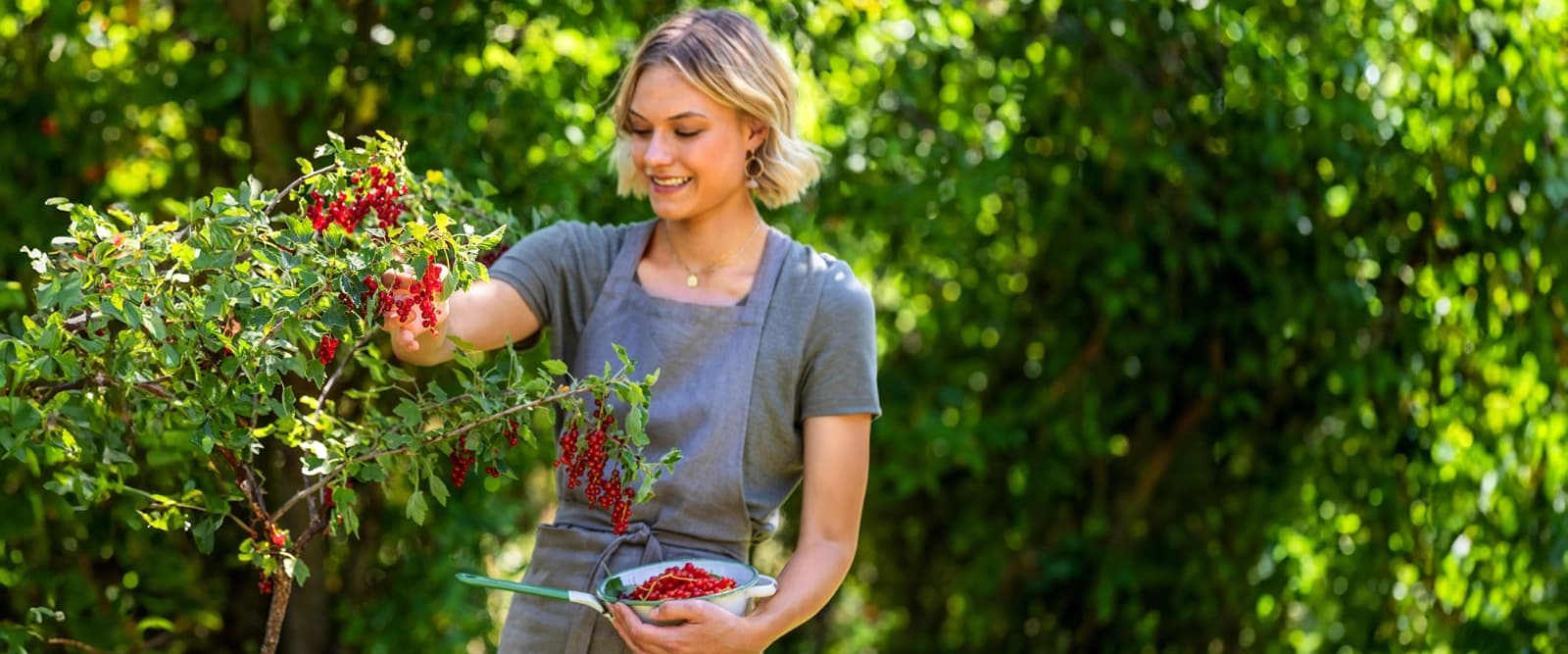 10 % auf Obst, Gemüse & Kräuter