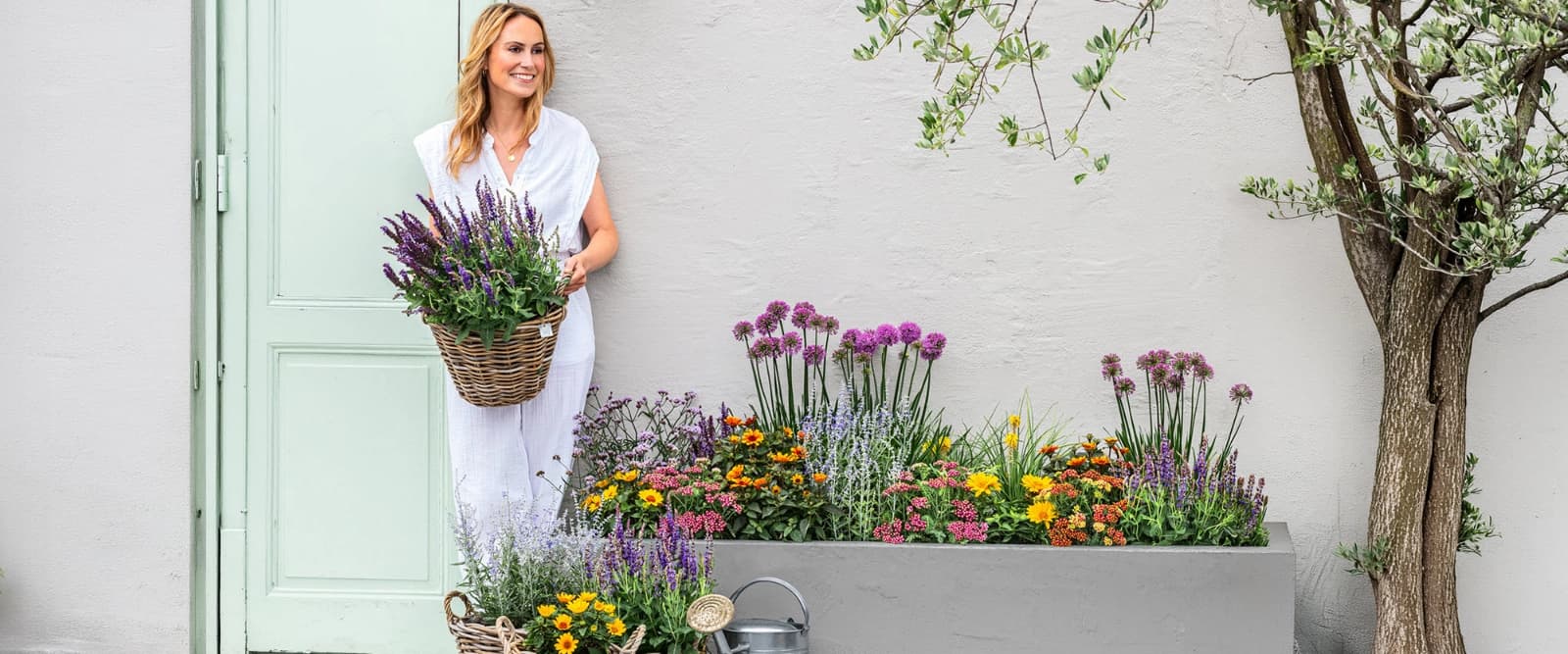 Aktionssonntag: 10 % auf alle Stauden & Gräser