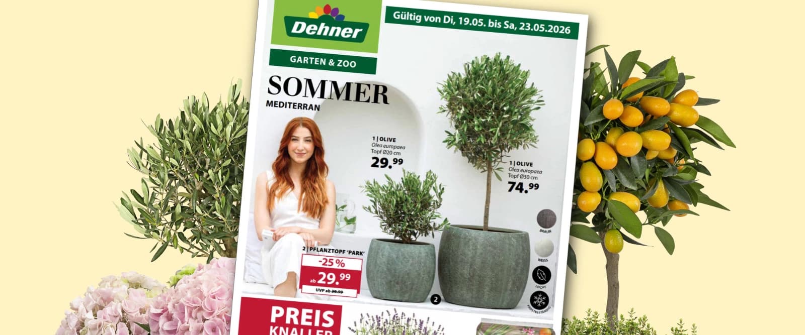 Unser neuer Prospekt ist da!