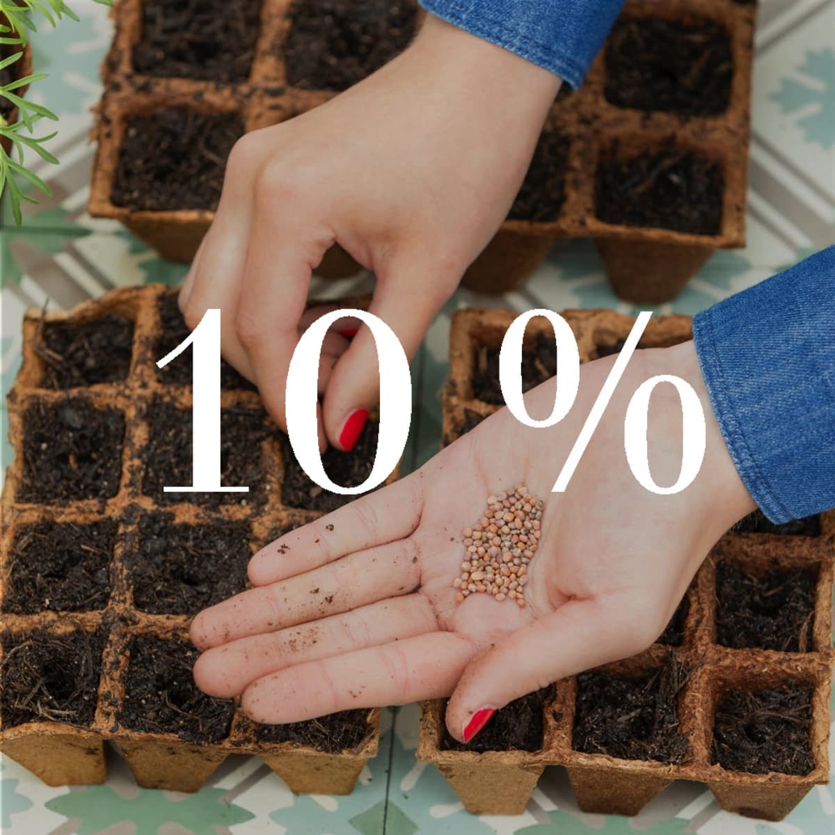 Sämerein Dehner Bio & Premium