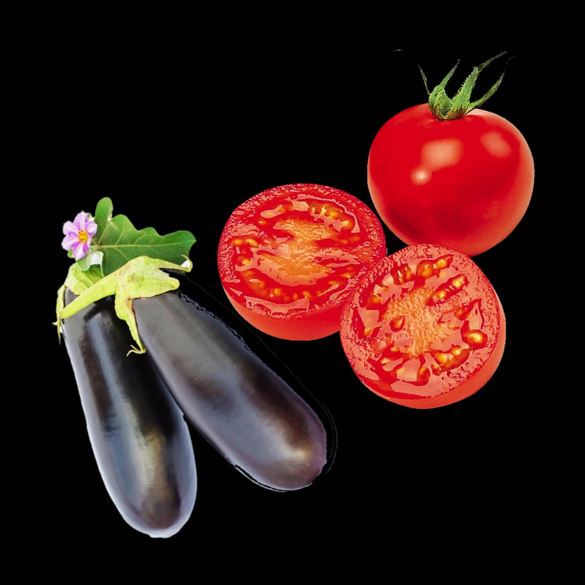 Auberginen & Tomatenpflanzen