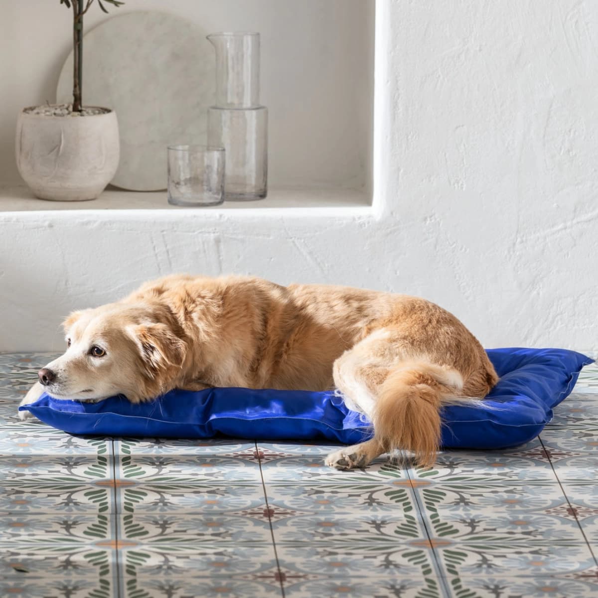 Alles für den Sommer