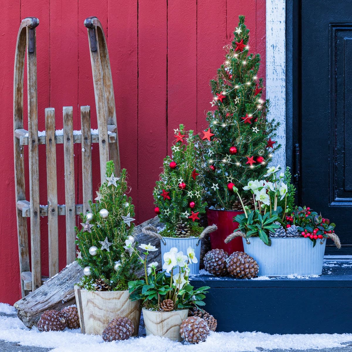 Geschmückte Bäumchen