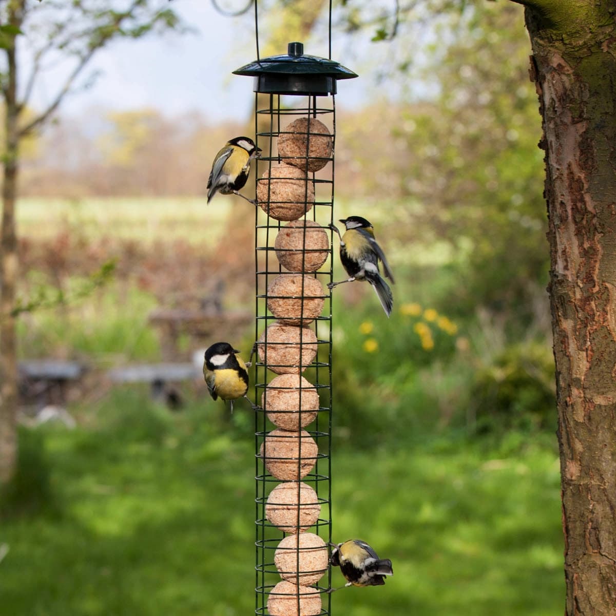 Wildvogel- & Wildtiersortiment