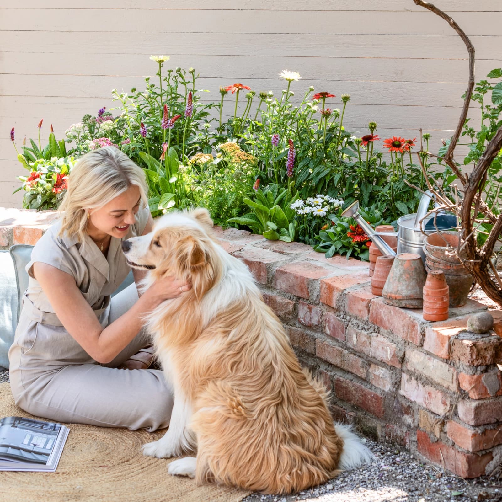 Gräser- & Stauden-Sets