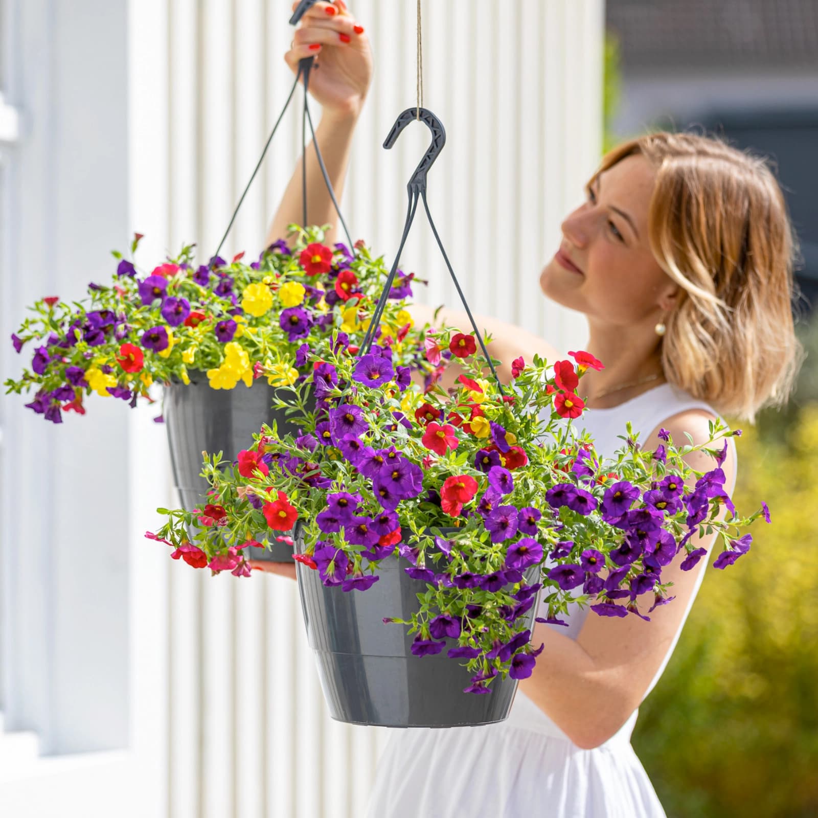 Sommerblumen